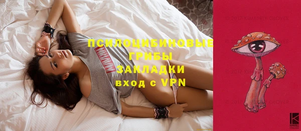 синтетический гашиш Карпинск