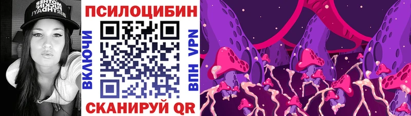 Псилоцибиновые грибы Cubensis  Купить  Бежецк 